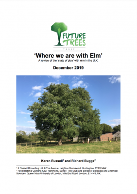 Elm report front cover