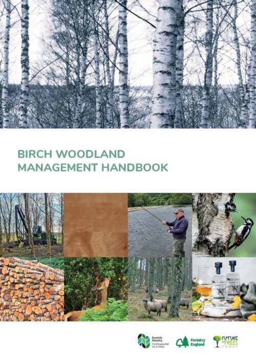 Birch Woodland Management Handbook