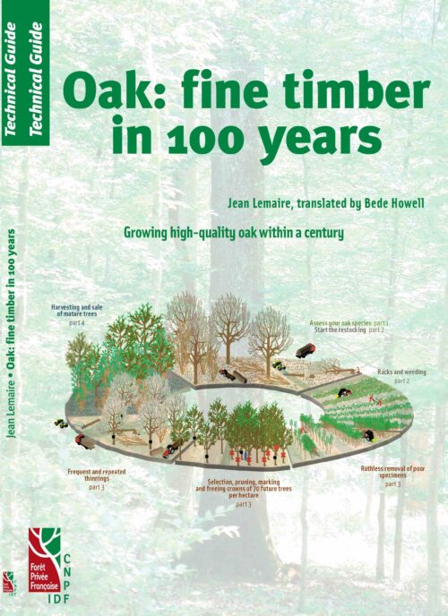 Oak: fine timber in 100 years